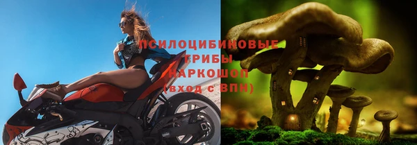 герыч Кодинск